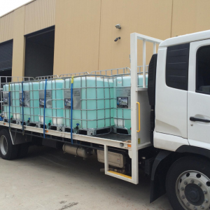 Bluenox Truck
